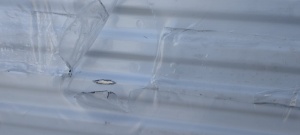 Радиатор стальной панельный 22/500/1000 УЦЕНКА! нижнее подключение Universal PRADO (царапина)